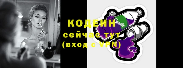 ГАЛЛЮЦИНОГЕННЫЕ ГРИБЫ Бородино