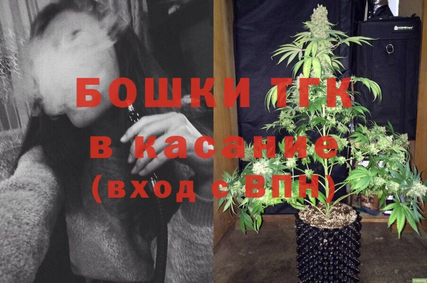 ГАЛЛЮЦИНОГЕННЫЕ ГРИБЫ Бородино