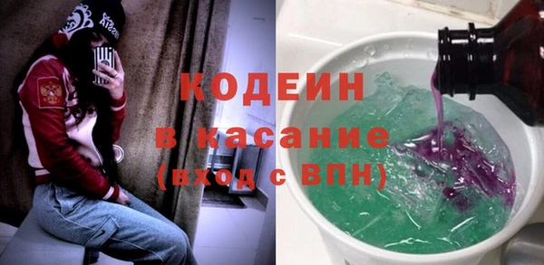ГАЛЛЮЦИНОГЕННЫЕ ГРИБЫ Бородино