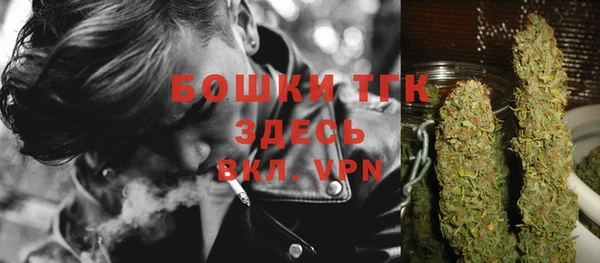спиды Верея