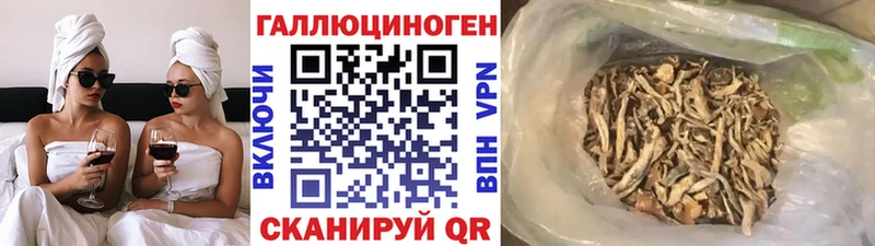 Псилоцибиновые грибы прущие грибы  Купить где  Ахтырский 